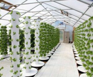 Hydroponics Towers